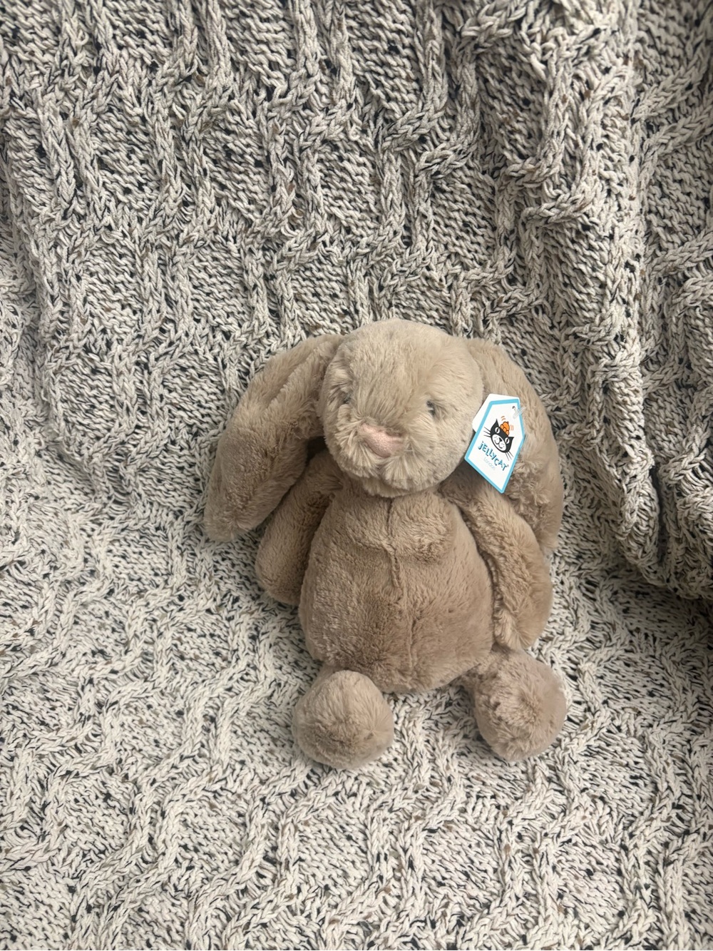 Jellycat Plush Beige Bunny with Floppy Ears
